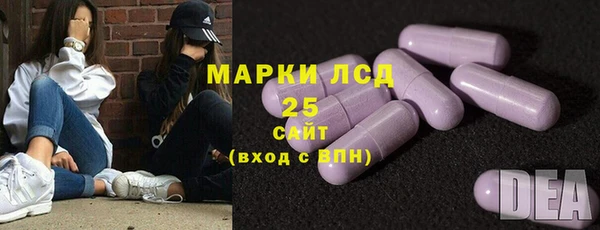 PSILOCYBIN Дмитриев