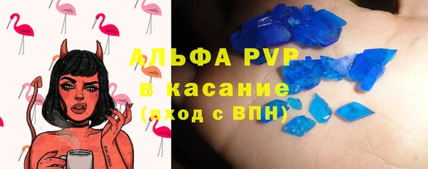 PSILOCYBIN Дмитриев