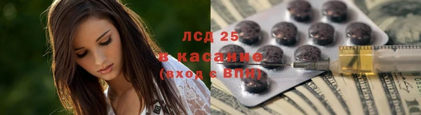 PSILOCYBIN Дмитриев