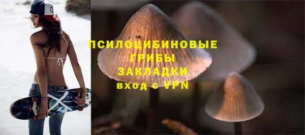 спиды Дмитровск
