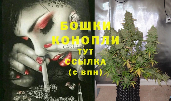 спиды Дмитровск